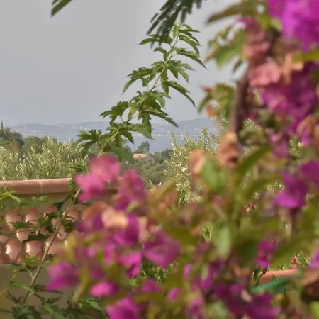 Casa de Férias Petit Mas Au Paradis Avec Piscine Pour 6 Personnes